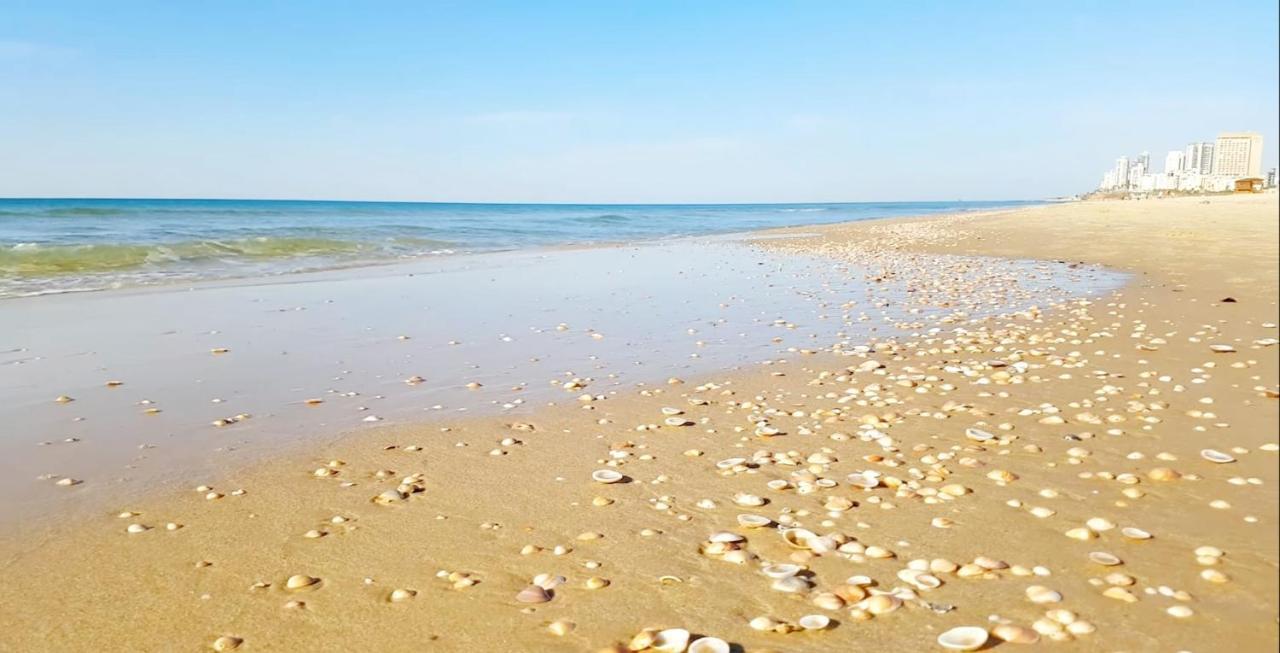 Beachfront Studio Apartment Bat Yam 412 Dış mekan fotoğraf